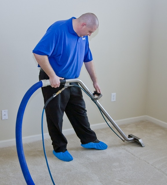 carpet cleaning kent